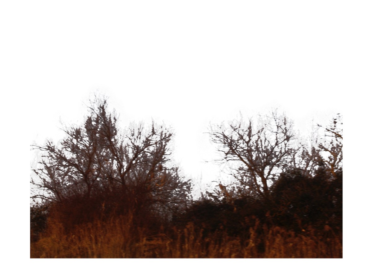 Migration