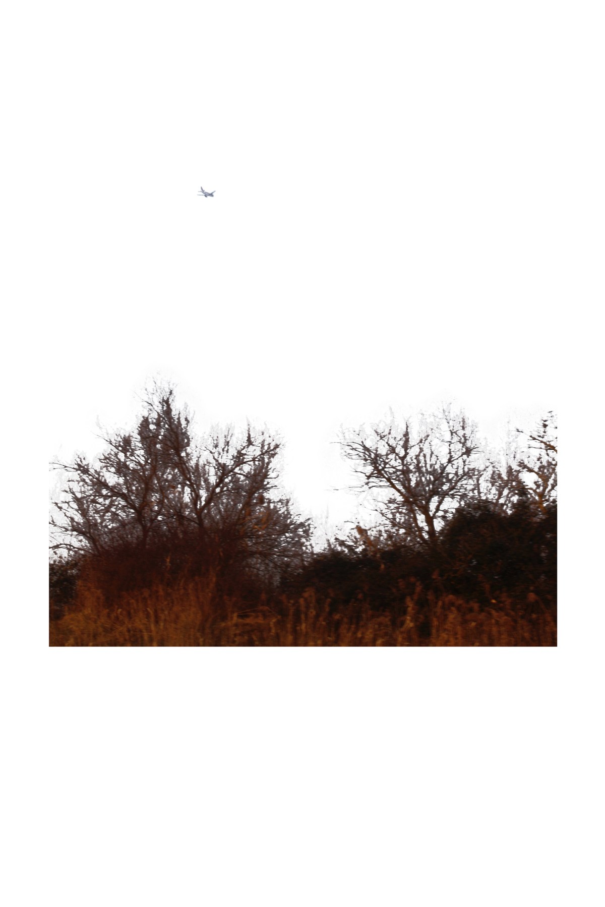 Migration