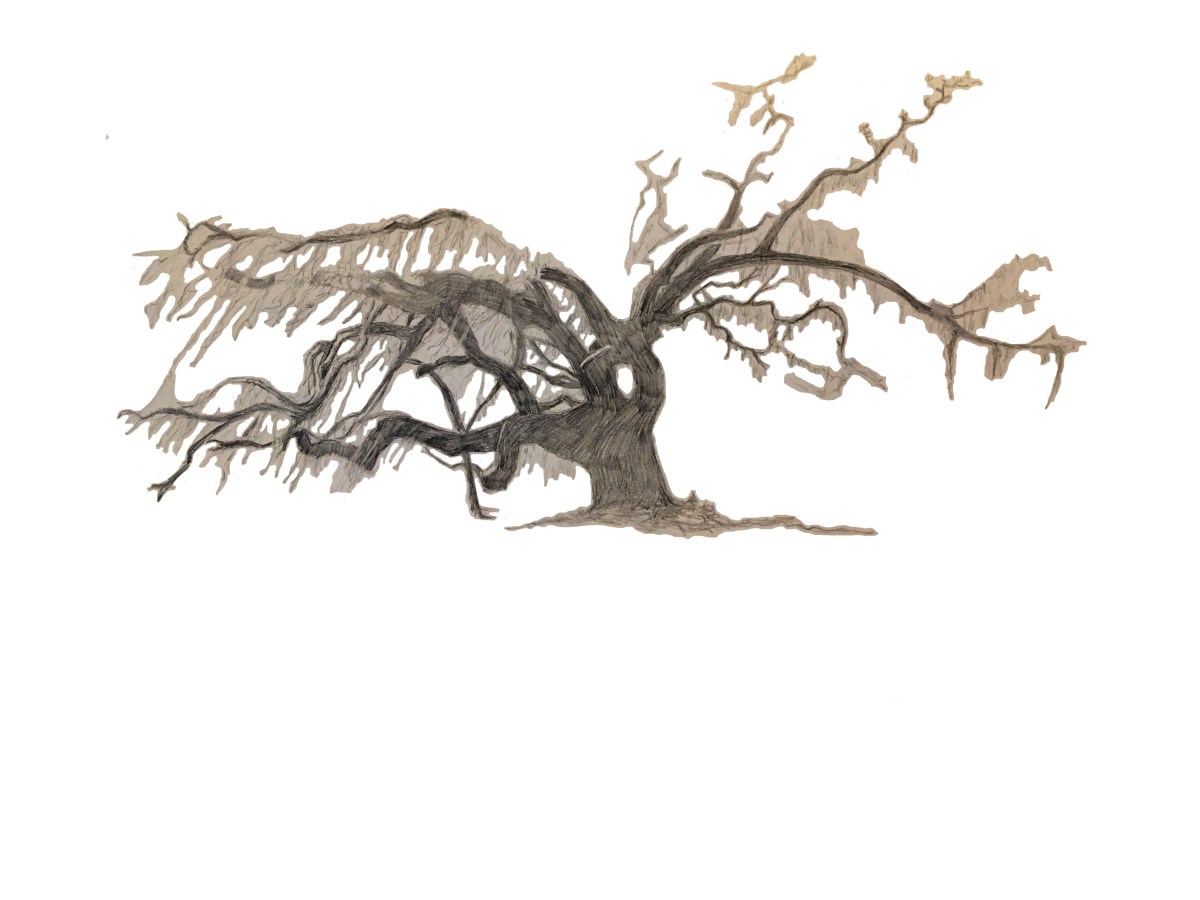 Two Trees (Satire)
