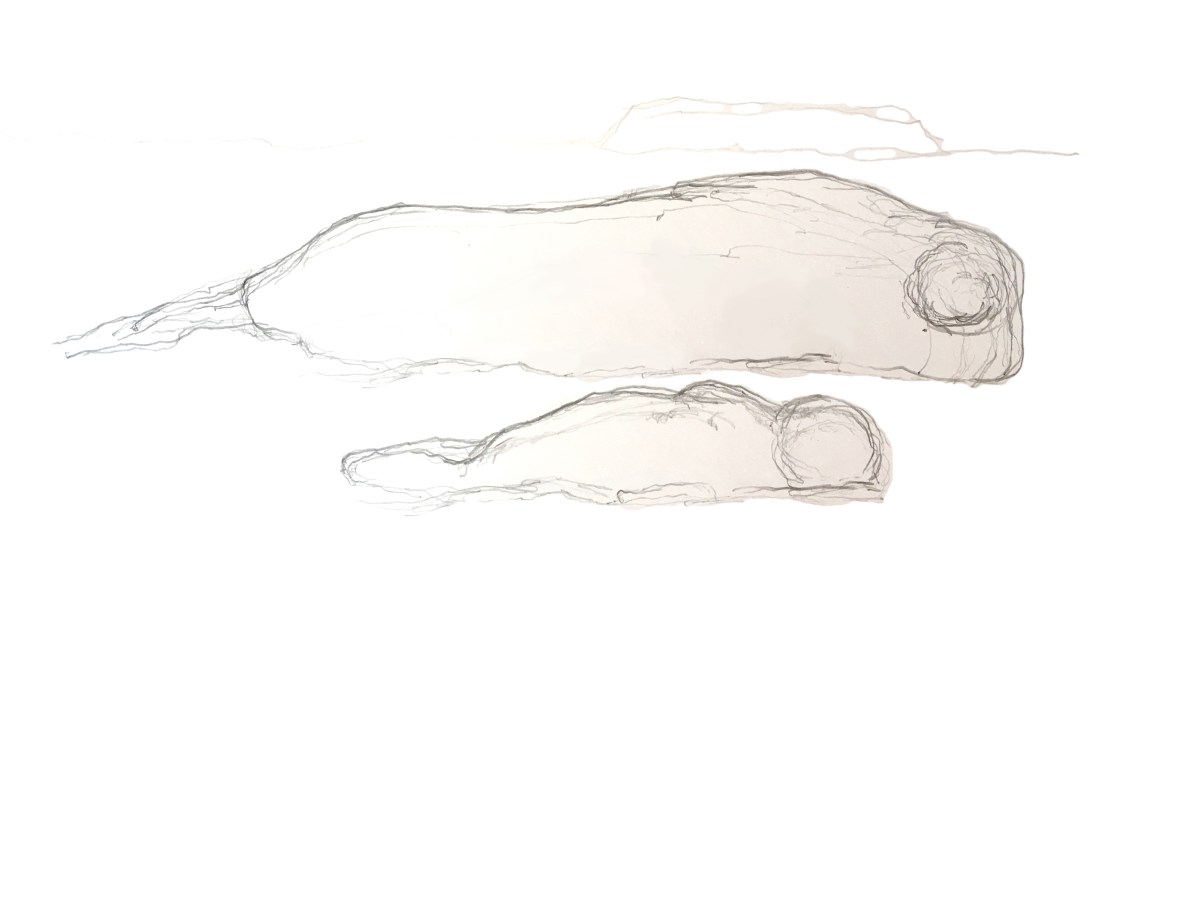 Seals